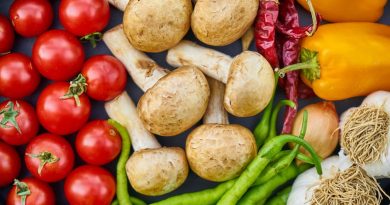 Udforskning af grøntsagernes mangfoldighed